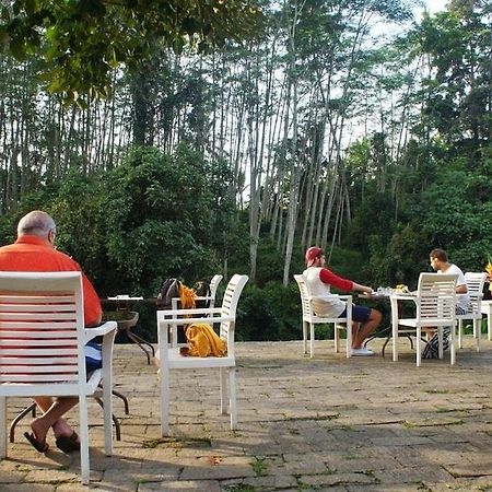 Yeh Panes Bali Otel Marga Dış mekan fotoğraf