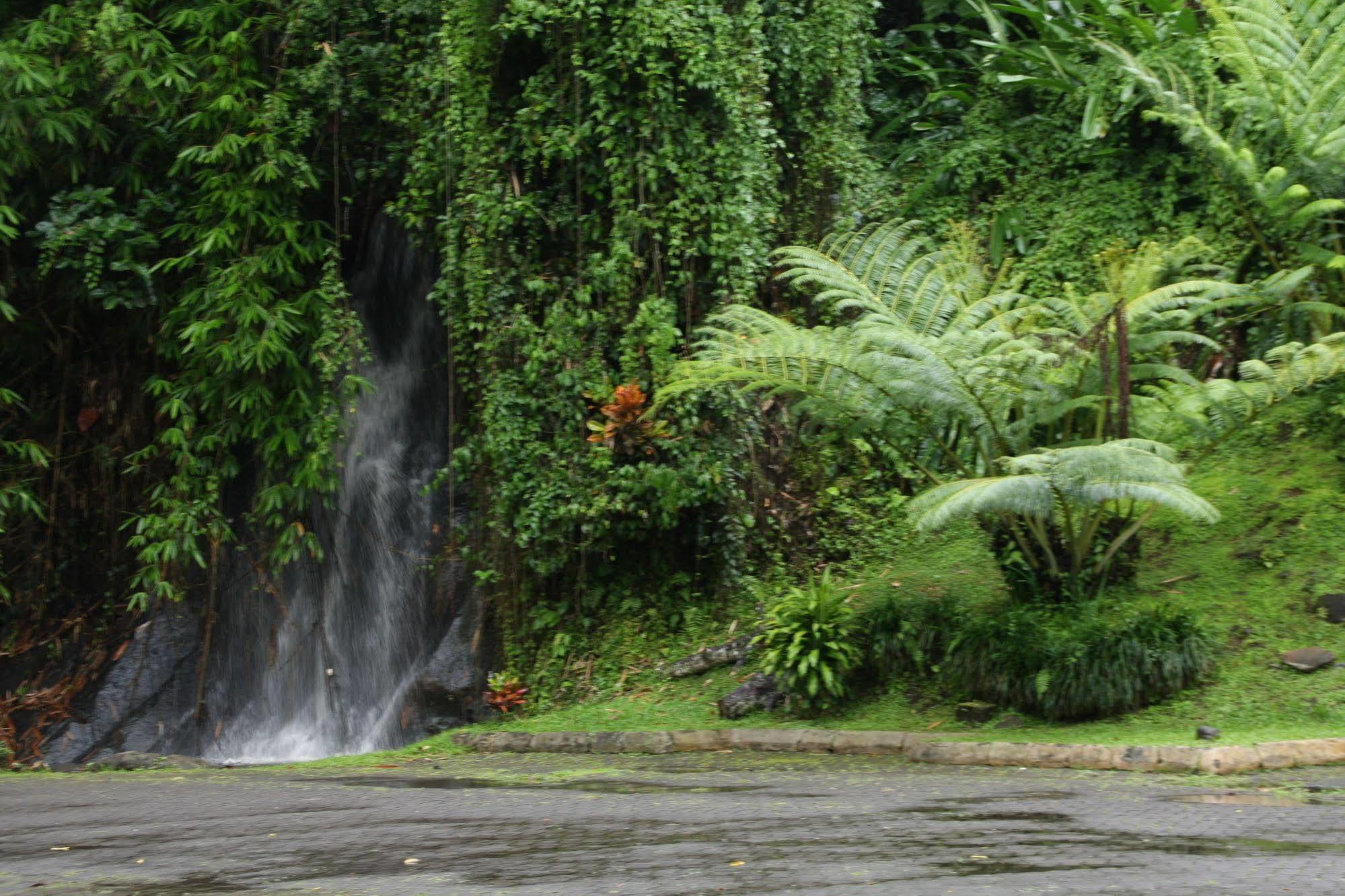 Yeh Panes Bali Otel Marga Dış mekan fotoğraf